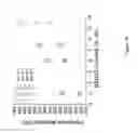 Fig. 19 - SEQUENCING SYSTEMS WITH TWO SLOW-STEP POLYMERASE ENZYMES