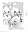 Fig. 24 - SEQUENCING SYSTEMS WITH TWO SLOW-STEP POLYMERASE ENZYMES