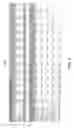Fig. 09 - CALIBRATION PANELS AND METHODS FOR DESIGNING THE SAME
