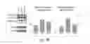 Fig. 08 - FUS/TLS-based compounds and methods for diagnosis, treatment and prevention of amyotrophic lateral sclerosis and related motor neuron diseases