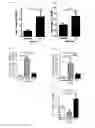 Fig. 03 - ANALYSIS FOR TAKOTSUBO CARDIOMYOPATHY BY MEANS OF DIFFERENTIALLY REGULATED MICRORNA MOLECULES