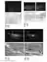 Fig. 07 - Methods for measuring virulence in soybean cyst nematode