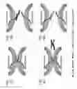 Fig. 09 - Methods for measuring virulence in soybean cyst nematode