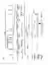 Fig. 02 - LAFORA'S DISEASE GENE