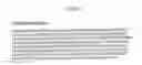 Fig. 09 - LAFORA'S DISEASE GENE