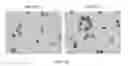 Fig. 26 - Esophageal microRNA expression profiles in eosinophilic esophagitis