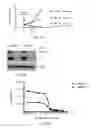Fig. 28 - Esophageal microRNA expression profiles in eosinophilic esophagitis