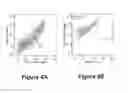 Fig. 07 - COMPREHENSIVE AND COMPARATIVE FLOW CYTOMETRY-BASED METHODS FOR IDENTIFYING THE STATE OF A BIOLOGICAL SYSTEM
