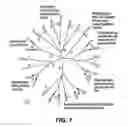 Fig. 02 - METHOD FOR DETERMINING DRUG RESISTANCE MUTATIONS IN ANY OF THE NON-STRUCTURAL PROTEIN REGIONS NS3 TO NS5B OF HEPATITIS C VIRUS (HCV) FOR GENOTYPES 1 TO 6