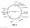 Fig. 04 - METHOD FOR DETERMINING DRUG RESISTANCE MUTATIONS IN ANY OF THE NON-STRUCTURAL PROTEIN REGIONS NS3 TO NS5B OF HEPATITIS C VIRUS (HCV) FOR GENOTYPES 1 TO 6