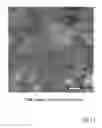 Fig. 20 - Method for separation of rare earth ion