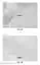Fig. 15 - Thermo-mechanical processing of nickel-titanium alloys