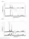 Fig. 13 - Method and Apparatus for the Multi-Layer and Multi-Component Coating of Thin Films on Substrates, and Multi-Layer and Multi-Component Coatings