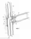 Fig. 06 - Shower bar system