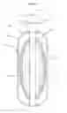 Fig. 30 - Collapsible-Squeezable Hygienic Bottle