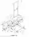 Fig. 06 - Displaceable floor trowel