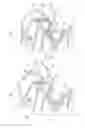 Fig. 01 - Seat hinge structure for saddle riding vehicle