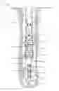 Fig. 01 - Method and apparatus to rotate subsurface wellbore casing