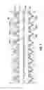Fig. 05 - MODULAR FIBER FEEDER