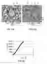 Fig. 05 - High strength, flowable, selectively degradable composite material and articles made thereby