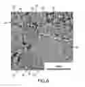Fig. 06 - High strength, flowable, selectively degradable composite material and articles made thereby