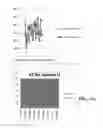 Fig. 74 - Flooding analysis tool and method thereof