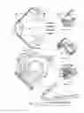Fig. 08 - Two-stroke internal combustion engine with a spherical chamber