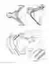 Fig. 09 - Two-stroke internal combustion engine with a spherical chamber