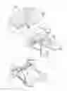 Fig. 16 - Two-stroke internal combustion engine with a spherical chamber