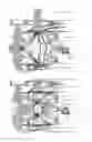 Fig. 20 - Two-stroke internal combustion engine with a spherical chamber