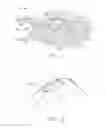 Fig. 03 - Fuel nozzle structure