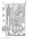Fig. 20 - Combustion gas discharge nozzle for a rocket engine provided with a sealing device between a stationary part and a moving part of the nozzle