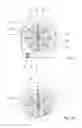 Fig. 02 - VANE PUMP