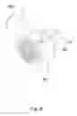 Fig. 04 - Extraction hood