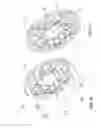 Fig. 09 - Electric traction drives