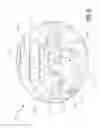 Fig. 10 - Electric traction drives