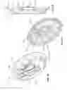 Fig. 34 - Electric traction drives