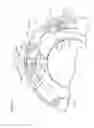 Fig. 05 - Rotation regulating device and lens barrel