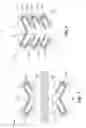 Fig. 03 - Tiered brush seal
