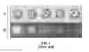 Fig. 02 - Ultraviolet gemstone display box