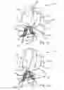 Fig. 03 - ADAPTER DEVICE FOR RETROFITTING IN LIGHTING ARRANGEMENTS