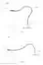 Fig. 08 - FLEXIBLE SUPPORT AND LAMP DEVICE STRUCTURE USING THE SAME