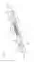 Fig. 29 - Lighting device
