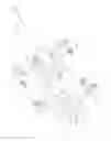 Fig. 33 - Portable lighting devices