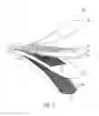 Fig. 02 - Flexible thermal regulation device
