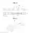 Fig. 18 - Touch sensor assembly
