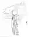 Fig. 06 - HOIST DEVICE WITH SHOOTING AID