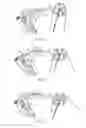 Fig. 06 - Archery bow limb support