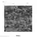 Fig. 02 - Camouflage Covering With Embedded Indicia