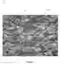 Fig. 03 - Camouflage Covering With Embedded Indicia